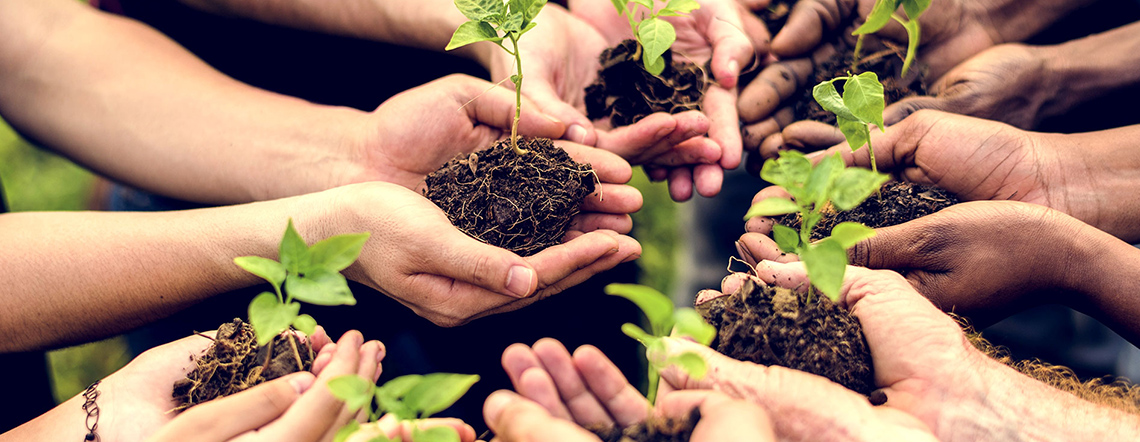 Cod. INPS 402 - Cooperative Settore Agricolo